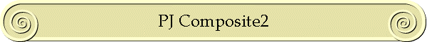 PJ Composite2