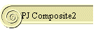 PJ Composite2